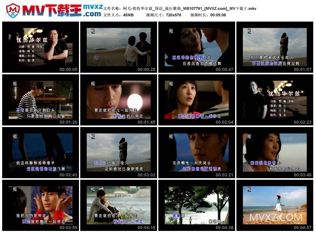 阿毛-忧伤华尔兹_国语_流行歌曲_MB107791